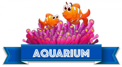 WFE took a trip to the Chattanooga Aquarium | Fannin