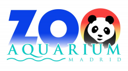 Zoo's - Living In Spain