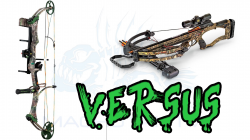 Compound VS Crossbow - YouTube