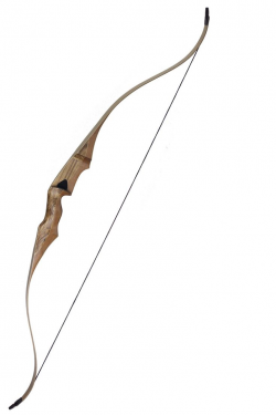 28 best Bow and Arrow images on Pinterest | Recurve bows, Arrows and ...