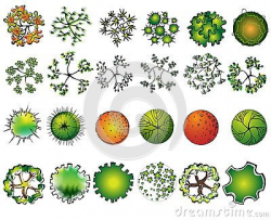 Landscape Design Symbols | ... set of colored treetop symbols, for ...