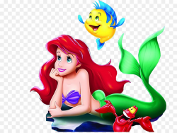 Ariel Scuttle The Walt Disney Company Mermaid Clip art - Mermaid png ...