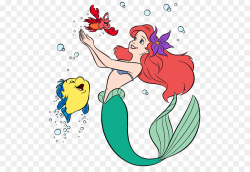 Ariel The Little Mermaid Sebastian Clip art - Ariel png download ...