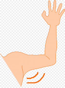 Thumb Hand model Leg Shoulder Illustration - Cliparts Arm Down png ...