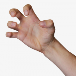 Fingers Bent, Finger, Arm, Palm PNG Image and Clipart for Free Download