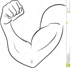 Bicep Clipart Group (54+)