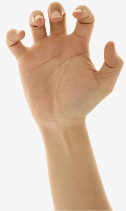 Five Fingers Bent, Live Gesture, Right Hand, Fig Gesture PNG Image ...