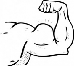 28+ Collection of Buff Arm Drawing | High quality, free cliparts ...