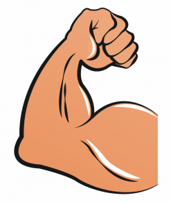 Muscular Arms Cartoon - Biceps Clipart, Transparent Png ...