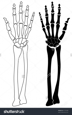 Bones clipart skeleton arm - Pencil and in color bones clipart ...