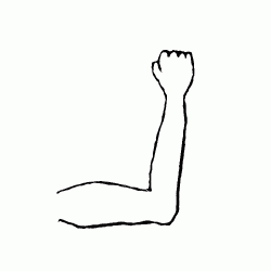 White Arm Cliparts | Free Download Clip Art | Free Clip Art ...