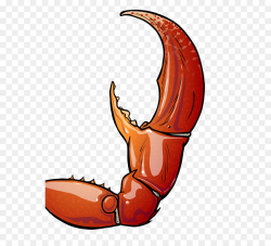 Snow crab Claw Drawing Clip art - claw png download - 600*802 - Free ...