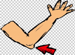 Elbow PNG, Clipart, Angle, Area, Arm, Arm Clipart, Artwork ...