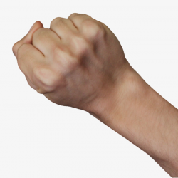Palm Fist, Palm, Arm, Make A Fist PNG Image and Clipart for Free ...
