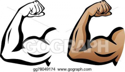 Vector Illustration - Muscular arm flexing bicep. EPS ...