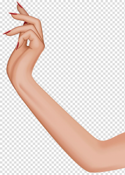 Hand Arm Human leg , female leg transparent background PNG ...