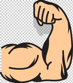 Muscle Arms Muscle Arms PNG, Clipart, Arm, Arm Architecture ...