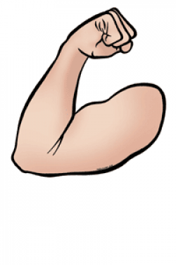 Muscle Clipart Group (69+)