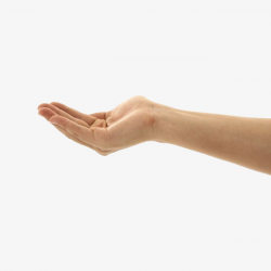 We Are Outstretched Hand, Hand, Arm, Outstretched Hand PNG Image and ...