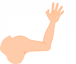 Right Arm Clipart