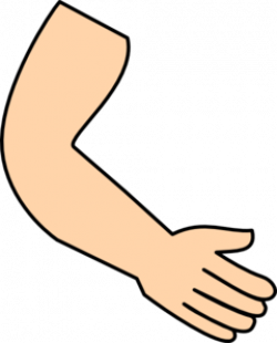 28+ Collection of Arm And Hand Clipart | High quality, free cliparts ...
