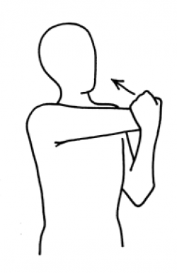 Arm Stretch Clipart