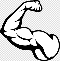 Biceps illustration, Biceps Arm Muscle, muscle transparent ...