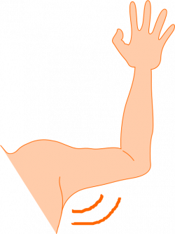 Clipart - arm pit