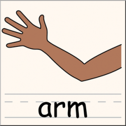 Clip Art: Parts of the Body: Arm Color I abcteach.com | abcteach
