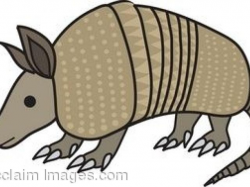 Free Armadillo Clipart, Download Free Clip Art on Owips.com
