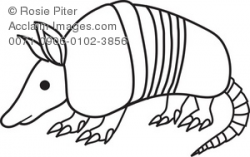 Armadillo Clipart | Clipart Panda - Free Clipart Images