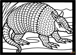Armadillos coloring pages | Free Coloring Pages