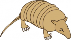 Armadillo Coloring Pages for Kids to Color and Print