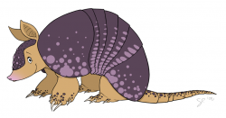 Character Design - Armadillo by shayfifearts on DeviantArt
