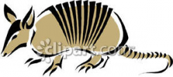A Beige Armadillo - Royalty Free Clipart Picture