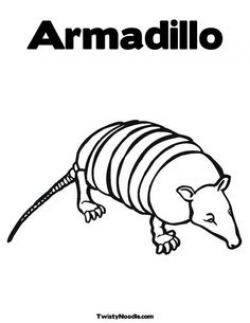 Armadillo Cartoon Pictures - ClipArt Best | school ideas | Pinterest ...