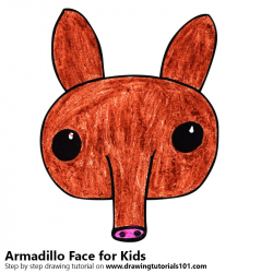 Learn How to Draw an Armadillo Face for Kids (Animal Faces for Kids ...