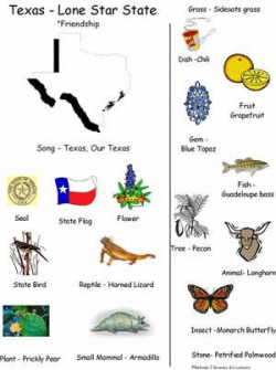 19 best Texas images on Pinterest | Texas history, Kindergarten ...