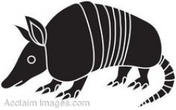 Pin by D sens on VECTOR FOOT STEPS | Pinterest | Armadillo and Animal