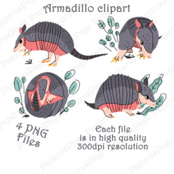 Armadillos, cute armadillo, painted Armadillos, Watercolor, Watercolor  Armadillos, clipart, stickers, vector