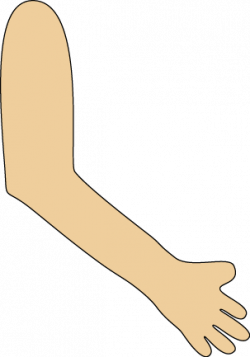 Clip Art Right Arms Clipart