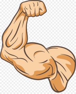 Muscle Physical fitness Thumb Clip art - The trainer's arm png ...