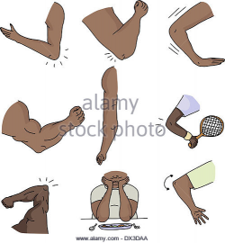 Elbow Clipart Group (89+)