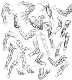 28+ Collection of Bent Arm Drawing | High quality, free cliparts ...