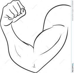 Biceps Of Strong Man Illustration 34302658 - Megapixl