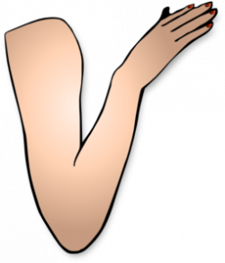 Arm And Hand Clip Art at Clker.com - vector clip art online, royalty ...