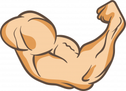 Arms Thumb Muscle Clip art - A powerful arm 2359*1711 transprent Png ...