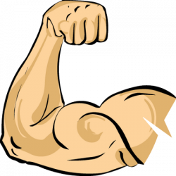 28+ Collection of Muscle Arm Clipart | High quality, free cliparts ...