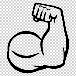 Muscle Arms Muscle Arms Biceps PNG, Clipart, Area, Arm, Arms ...