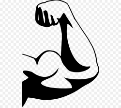 Muscle Arm Human body Clip art - Cliparts Arms Fitness png download ...